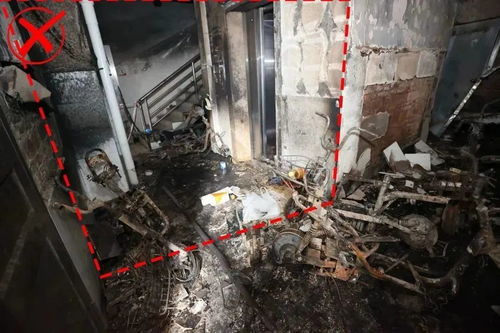 紧急提醒 又是它惹祸